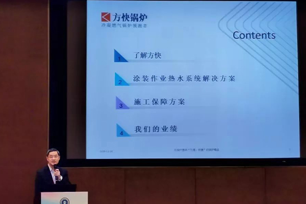 燃?xì)忮仩t煙囪采購